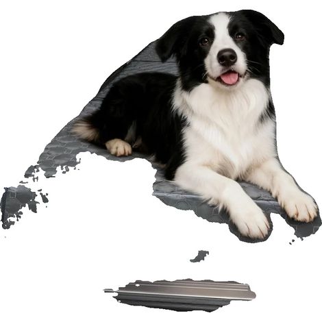 Funda impermeable para asiento de coche para perros, ajuste universal, color negro. (1/2)