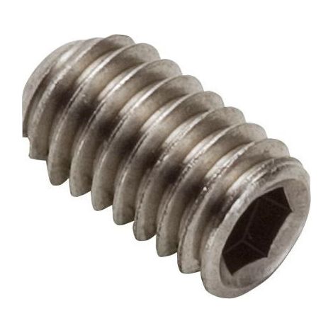 Vis sans tete Hansgrohe M6x10 96029000