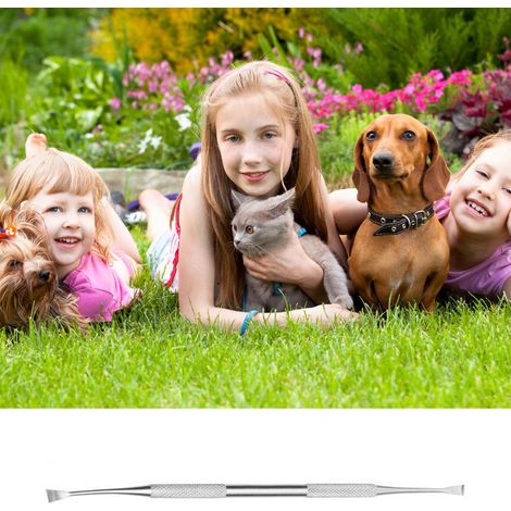 Détartreur et grattoir dentaire pour chiens, outil de nettoyage des dents pour animaux de compagnie avec différents angles et double tête en acier inoxydable. (1/4)