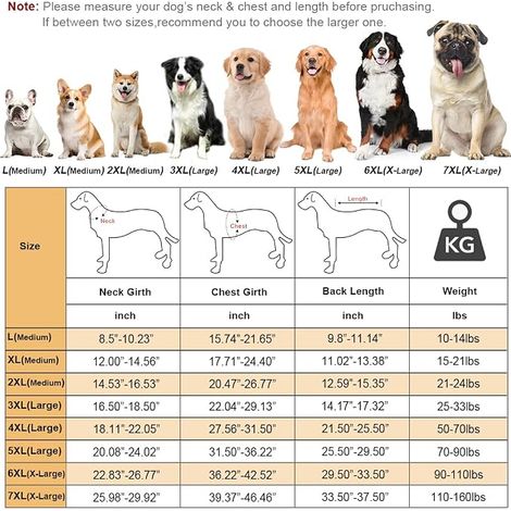 Imperméable Chien, Poncho Capuche Ajustable, Réfléchissant, Chiens Taille Moyenne Grande (Jaune, 6XL) (1/4)