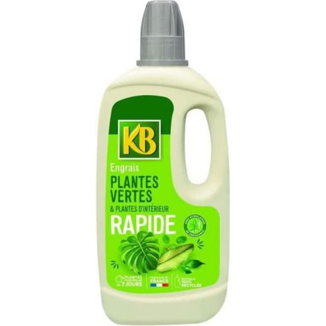 Engrais Rapide Plantes Vertes Et D'intérieur 1l - Kb (1/2)