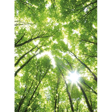 Papier peint panoramique arbre vert idéal plafond | Tapisserie panoramique nature verte pour salon | Papier peint panoramique 3D pour couloir - 192 X 260 cm (4 pièces) (1/2)