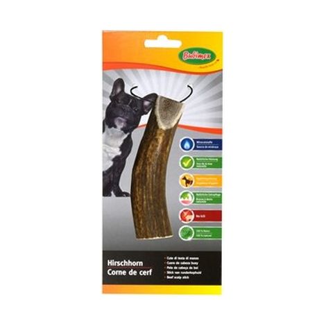 Corne de cerf - friandise pour chien Désignation : Corne de cerf - Medium - 80/120 g BUBIMEX 896000