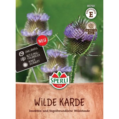 Sperli Wilde Karde blau - violett - Blumensamen (1/2)