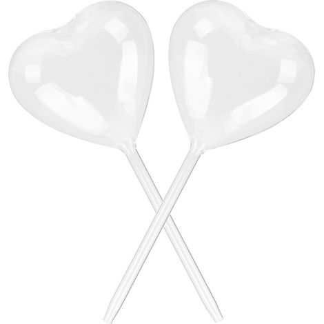 2 Pièces Globes D'arrosage en Verre, Dispositif Automatique (1/5)