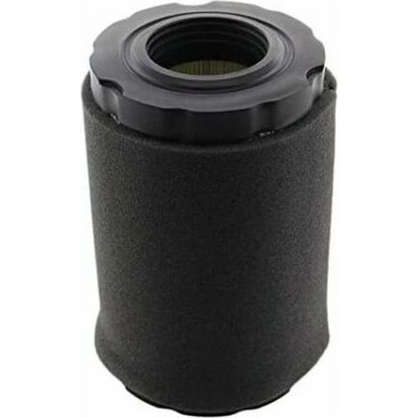 Filtre à Air avec Couvercle de Filtre à Air pour Moteurs Briggs & Stratton 550E, 575EX, 575IS, 625EXI, 650EXI, 675EXI, Remplace les Numéros 594106, 798339, 798452, 593260, 093000. (1/5)