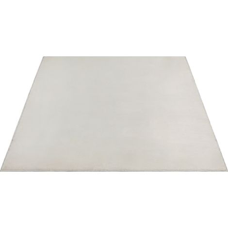 FLOORNOVO Hochflor Teppich Beige einfarbig - 340 x 240 cm - Besonders Weicher Teppich Wohnzimmer & Badezimmerteppich - Pflegeleicht - vielseitig einsetzbar im Innenbereich (1/2)