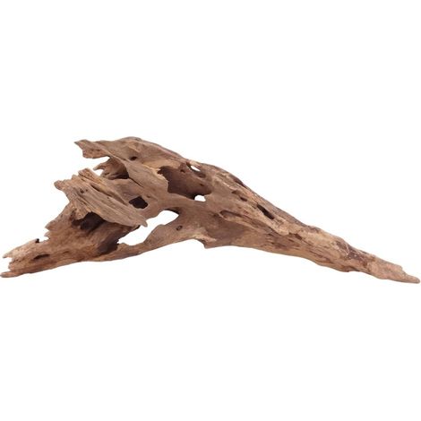 L Honey Comb Wurzel Nr.5143 Holz Deko Aquascaping