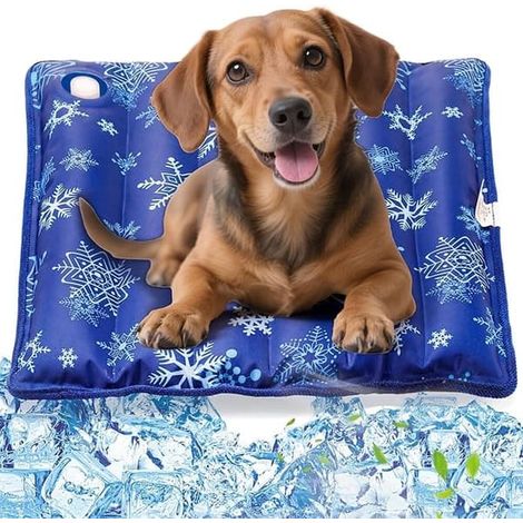 Tapis rafraîchissant pour animaux, tapis rempli d'eau pour chiens et chats, lit rafraîchissant pour animaux de compagnie (1/5)