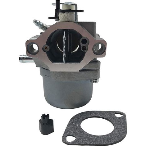 Vergaser DOLASO 799728 für Briggs&Stratton 498027 49823 (1/5)