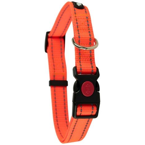 Colliers en nylon réfléchissants COLLIER RÉFLECTIF TAILLE S (1/4)