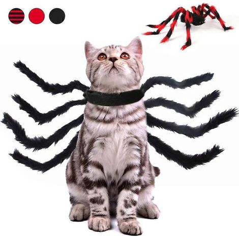 Déguisement d'araignée noir (l) pour chien ou chat, décorations d'Halloween pour animaux de compagnie, décoration araignée, articles de fête d'Halloween, costumes de cosplay d'araignée avec accessoire (1/5)