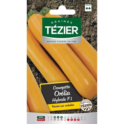 Tezier - Courgette Orelia HF1
