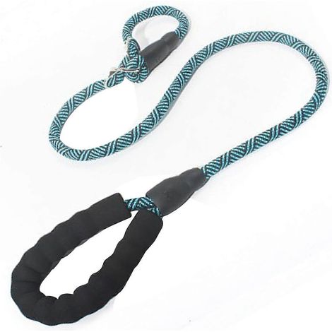 Laisse pour chien avec boucle en métal, en nylon résistant et durable, idéale pour les activités de plein air. (1/2)
