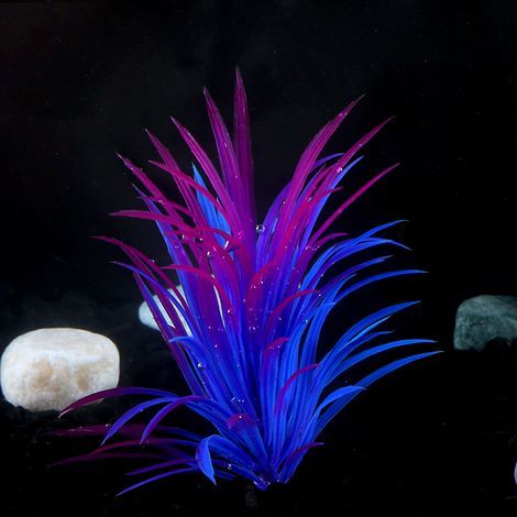 (B) Plante artificielle pour aquarium (11 x 2 x 3 cm) - Décoration pour aquarium - Plante en plastique sur socle (1/3)