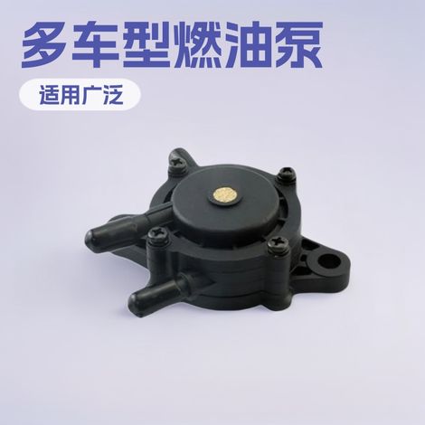 Bailitong fuel pump, gasoline pump, oil pump, suitable for motorcycles, go-karts, ATVs, universal type, minimum order quantity: single piece.