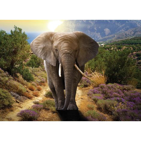 Elephant, photo murale intissée, 155x110 cm, 1 part (1/3)
