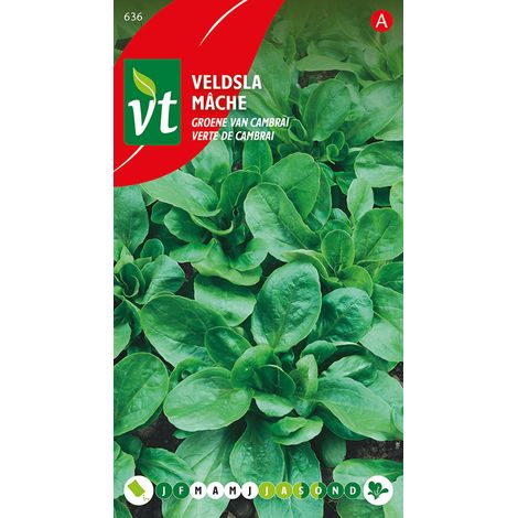 Mache Verte De Cambrai - Ca. 3 gr (Livraison Gratuite) (1/2)