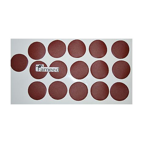 16 DISCHI ABRASIVI � 50 mm GRANA 240 LEVIGATRICE ANGOLARE 2 POLLICI AD ARIA