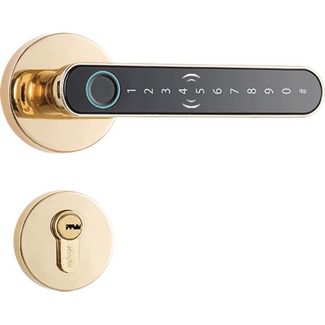 Serrure Intelligente pour Porte Intérieure avec Empreinte Code Bluetooth Clé Design Doré Silencieux (1/5)