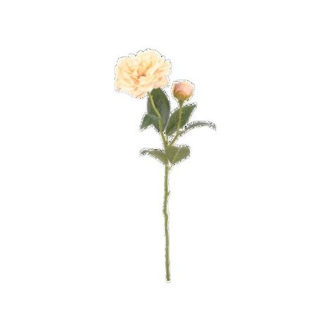 Rosa de té de 45 cm