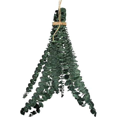 Bouquet d'Eucalyptus Séchés et Préservés, Tiges Véritables pour Décoration de Douche et Arrangement (1/5)