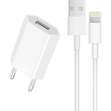 Caricabatterie USB 5V 1A per iPhone 10 11 12 13 Pro Max XR X XS Max 8 8 Plus 7 7 Plus 6 6s 6s Plus SE 5s AirPods iPad con cavo per iPhone (1/5)