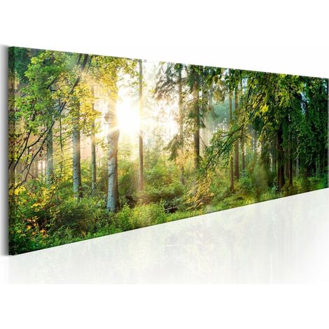 Tableau abri forestier - 135 x 45 cm (1/4)