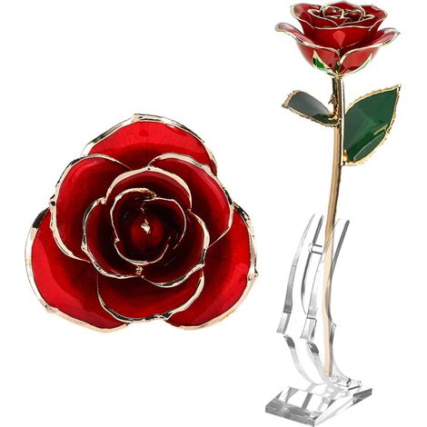 Rose longue tige plaquée or 24k dans boîte cadeau avec présentoir transparent, roses rouges pour elle (1/5)