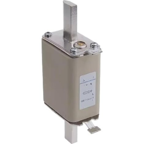 Fuse RS31B 200A160A125A100A80A63A 160A