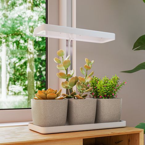 Pflanzenlampe mit 42 LEDs, 3 Töpfen, 8/12/16/24-Stunden-Timer, 5 Helligkeitsstufen, höhenverstellbar, Vollspektrum-Pflanzenlampe für den Innenbereich mit automatischer Ein-/Ausschaltfunktion, 3500 K