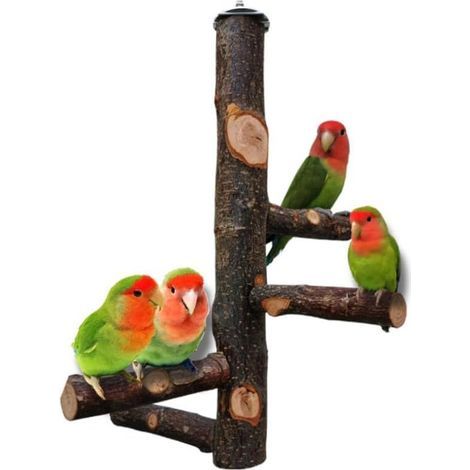 Natural Wood Perch for Parrots, Small Parakeets, Cockatiels, Macaws, Parrots, Lovebirds, Finches (1/5)