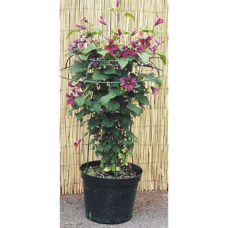Small Tuteur Plant Border Support - Steel - L48 x W48 x H56 cm - Green