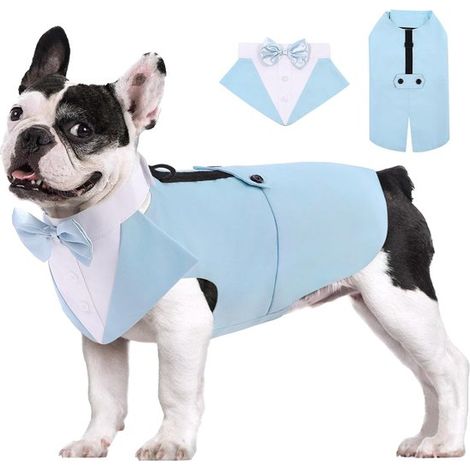 Completo festivo per cani con bandana, completo da cerimonia con papillon e camicia per cani di piccola taglia, completo con papillon removibile (XXL) (1/4)