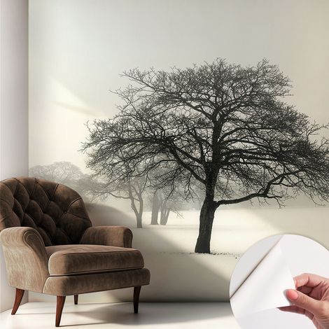 Fotomurale adesivo - parete decorativa - decorazione casa - stile moderno parete - Alberi invernali 250x250 cm (1/5)
