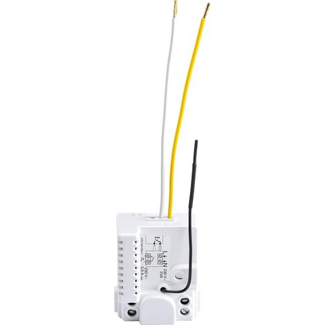 récepteur, Blanc (1/2)