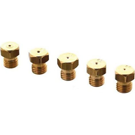 Injecteur Gaz Butane - Ø 6 mm Pas Fin - Pour Brûleurs Plaque Cuisson Gaz - Kit Universel 5 Pièces (1/4)