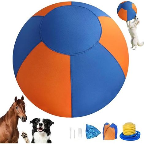 Balle gonflable pour chien - 55 cm - Jouet flottant interactif - Robuste et durable (1/5)