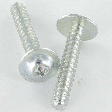 Vis pvc Tête ronde large 5X30 TORX T25 Acier zingué-1 pièce