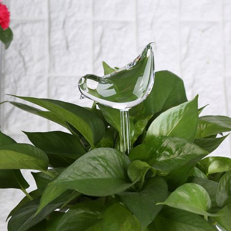 Plantes d'intérieur, fleurs, arrosage automatique, abreuvoir en verre transparent en forme d'oiseau (1/5)