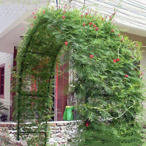 Support pour plantes en treillis, arche de jardin, décoration pour cérémonie de mariage en plein air, fête (1/5)