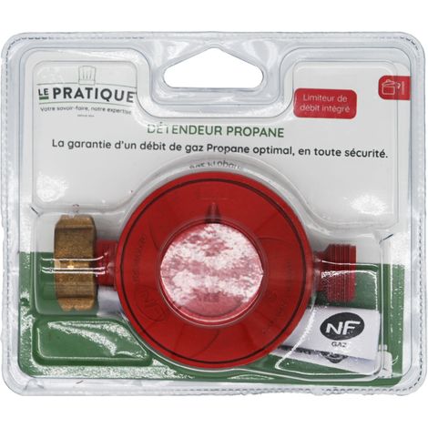 1 Regulador de Propano - El Práctico