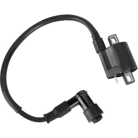 12V Gleichstrom-Zündspule für CG125 125cc 150cc Motorräder (1/5)