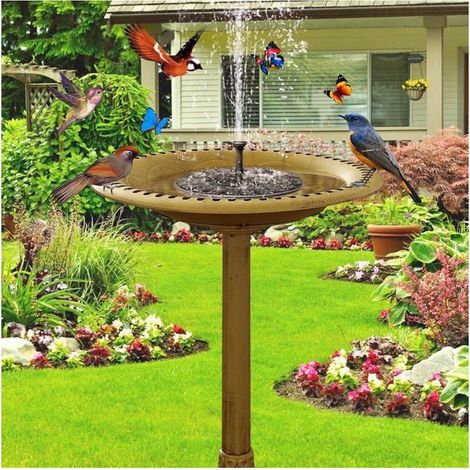 Baño vertical para pájaros con fuente solar y dispensador de comida para pájaros 2 en 1. (1/5)