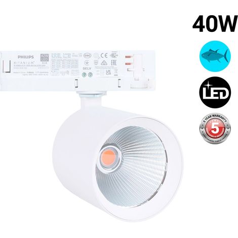 Spot LED 40W pour rail triphasé - Poissons et fruits de mer - - Blanc