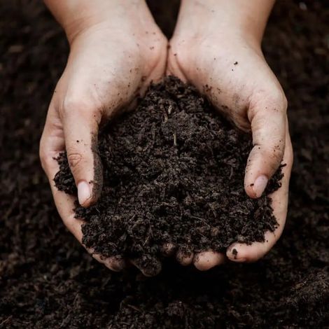 Compost Champiñon Envejecido / Big bag 1.000 L. / Marron