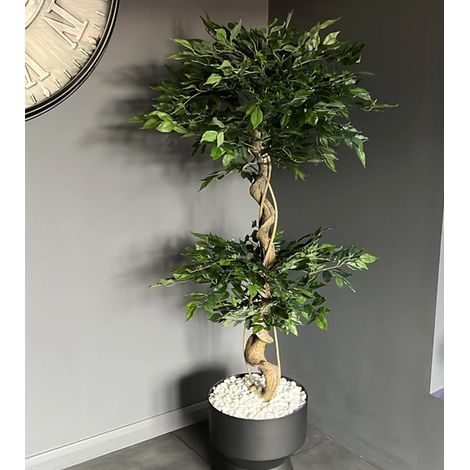 150cm Twisted Trunk Artificial Japanese Fruticosa Style Ficus Tree