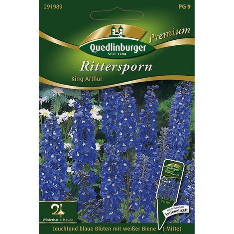 Quedlinburger Saatgut – Pied-d'alouette « King Arthur » – Graines de fleurs, vivace à fleurs bleues, hauteur env. 180 cm
