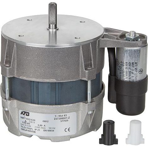 Moteur avec condensateur et cable de raccordement 4020-003 BG
