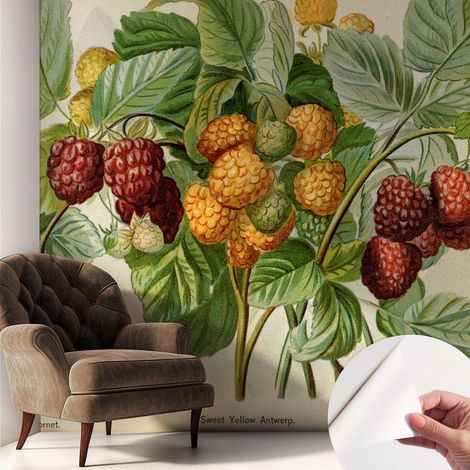 Fotomurale adesivo - Carta da parati adesiva - per la cucina camera da letto per la soggiorno - Lamponi classici 250x250 cm (1/5)
